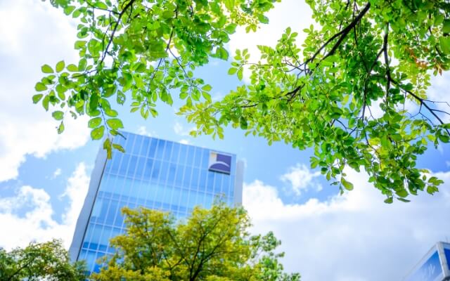 サステナビリティ推進に向けた取り組み